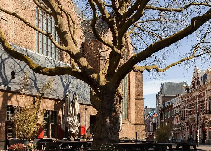 Stayci Serviced Westeinde Appartamento L'Aia